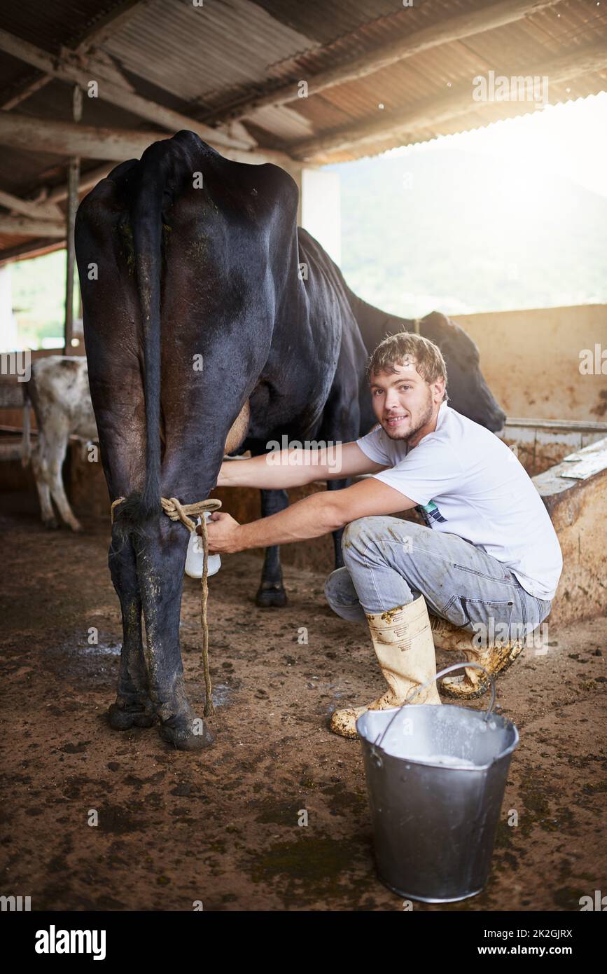 Da dove credi che provenisse il latte. Ritratto a tutta lunghezza di un giovane maso maschio che munga una mucca nel fienile. Foto Stock