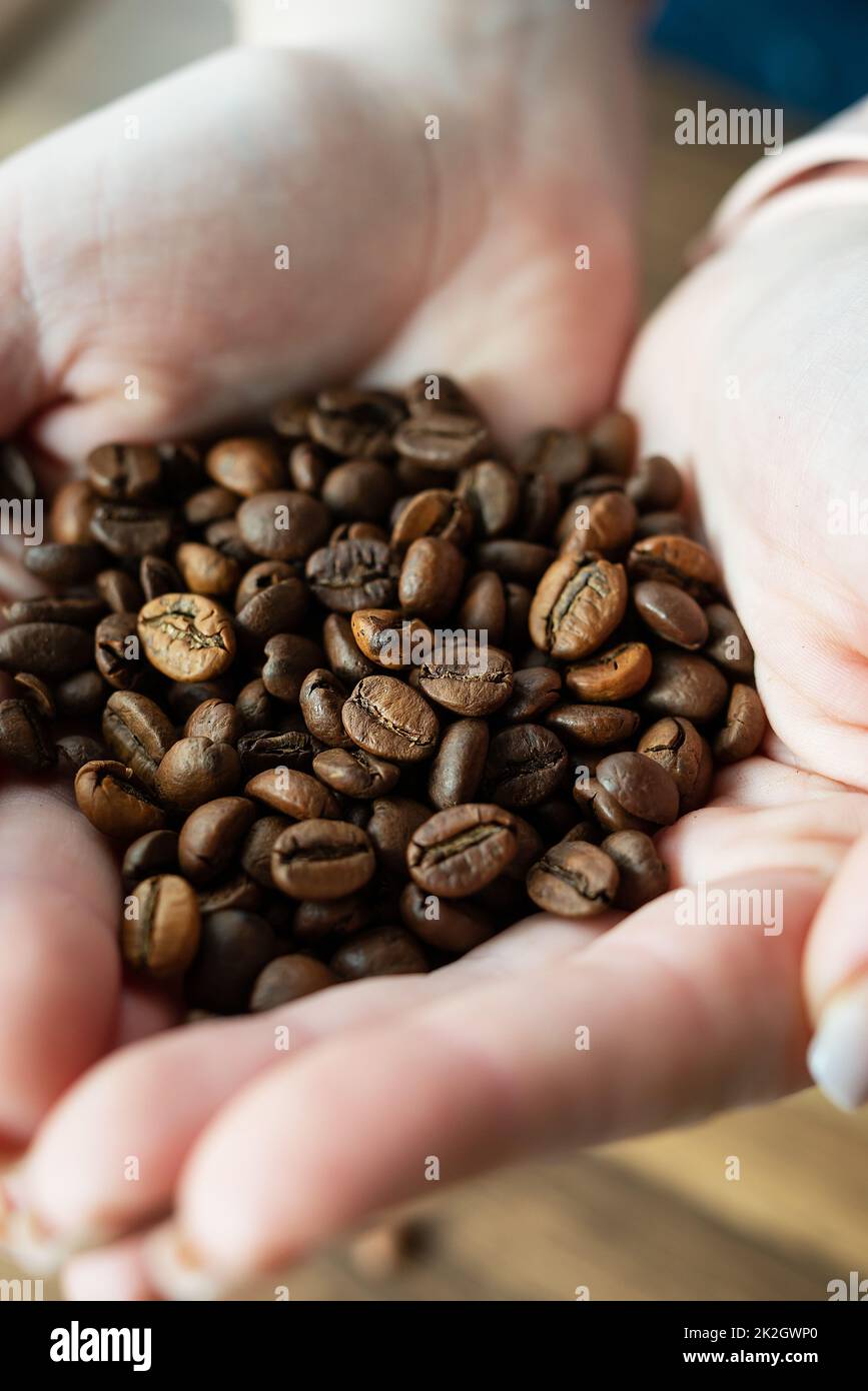 Immagine di una donna che tiene in mano un chicco di caffè arrosto, primo piano, vista dall'alto. Il concetto di preparare il caffè. Foto Stock