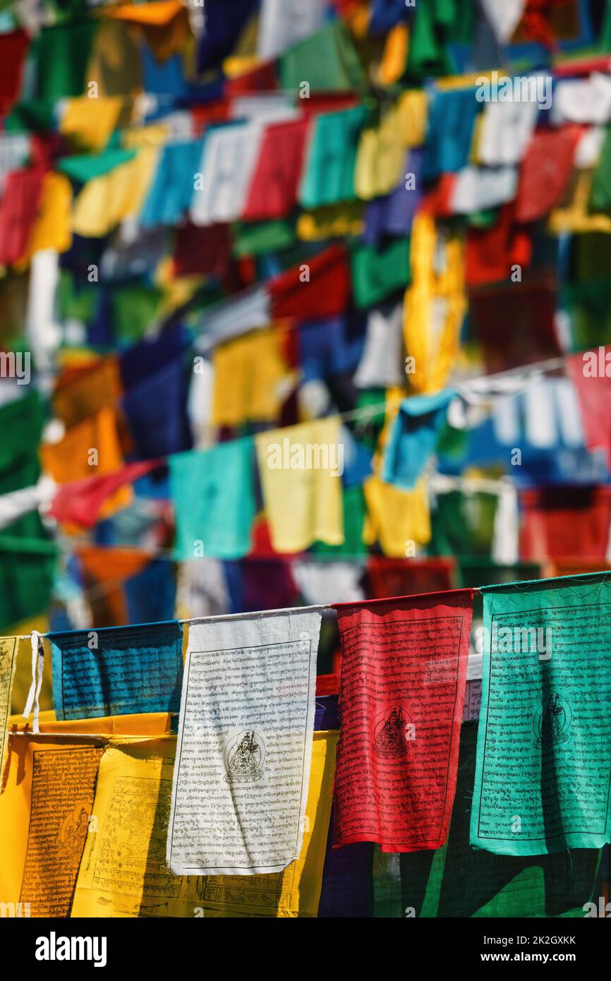 Bandiere buddiste di preghiera lunga a McLeod Ganj, Himachal Pradesh, India Foto Stock