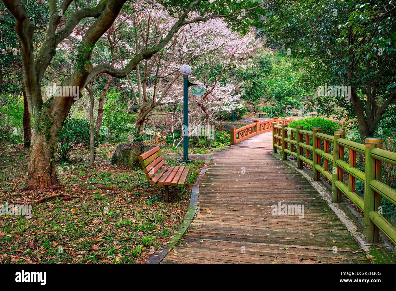 Jeju Olle Trail, Jeju Island, Corea del Sud Foto Stock