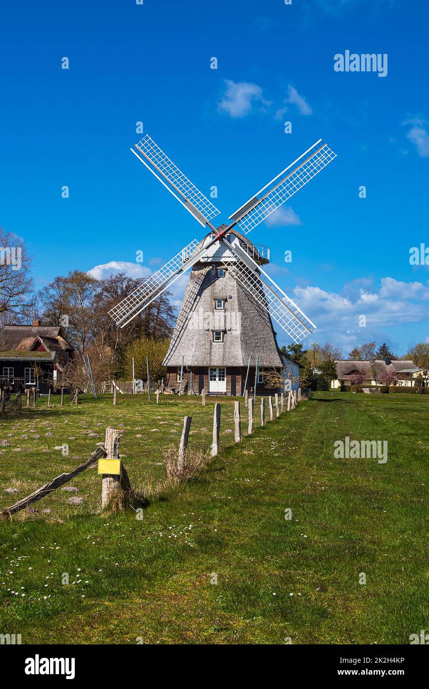 Mulino a vento storico con alberi a Ahrenshoop, Germania Foto Stock