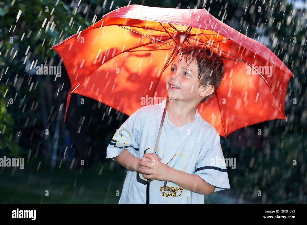 Docce a pioggia estive I. Foto Stock