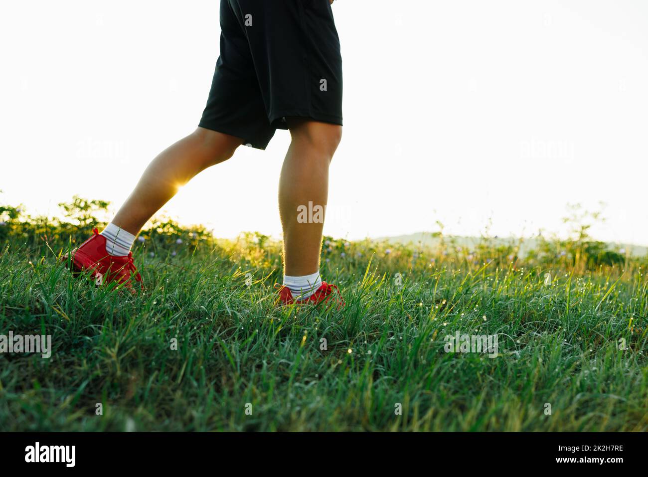 Le gambe di un atleta catturò correre su una bellissima pianura. Il colore verde brillante dell'erba. Foto Stock