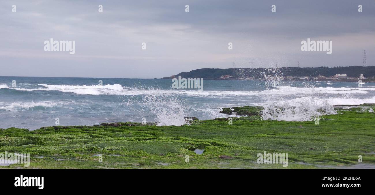 Laomei Green Stone trogolo si trova nel distretto di Shimen sulla costa settentrionale, ogni aprile e maggio, perché il monsone nord-orientale lentamente indebolisce, la roccia locale trogolo nome scientifico: Trincea marea e trincea di erosione del mare è coperto da una grande alghe verdi Foto Stock