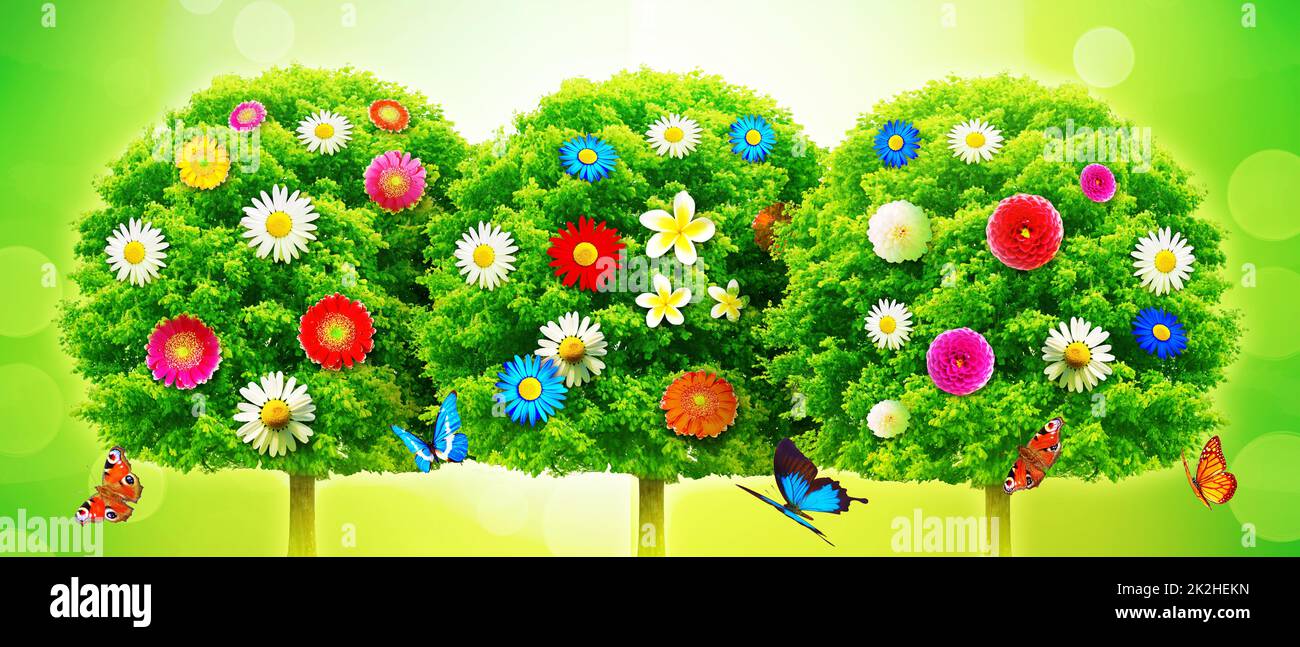 Fiori e alberi. Composizione floreale creativa primaverile. Foto Stock