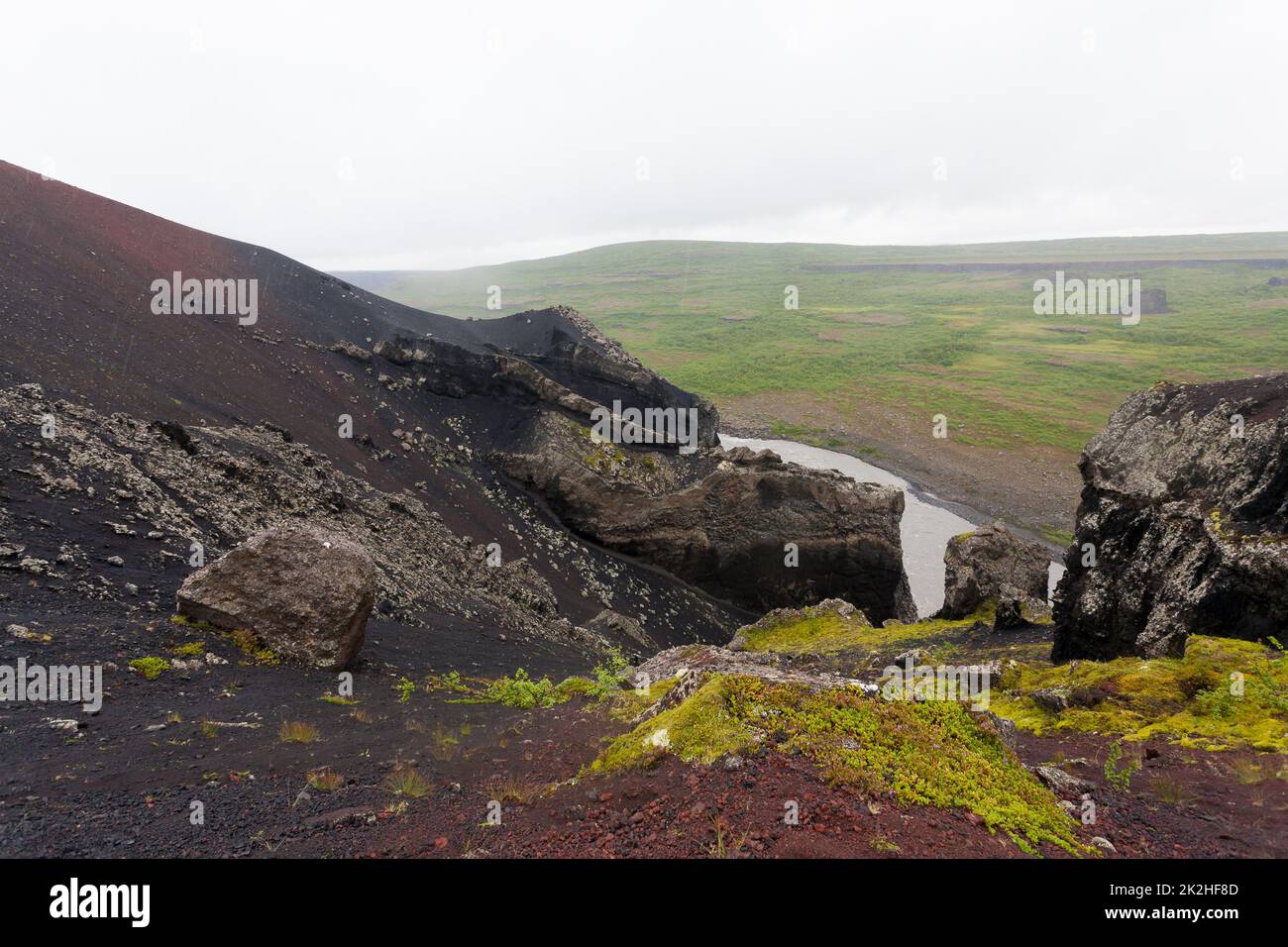 Jokulsargljufur National Park in una giornata di pioggia, Islanda Foto Stock