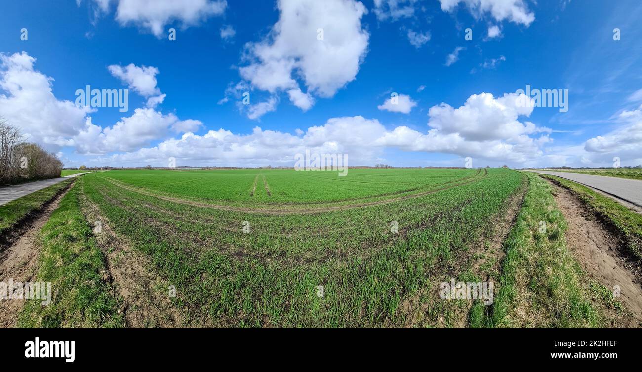 Panorama di un paesaggio di campagna del nord europa con campi e erba verde Foto Stock