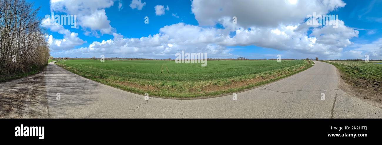 Panorama di un paesaggio di campagna del nord europa con campi e erba verde Foto Stock