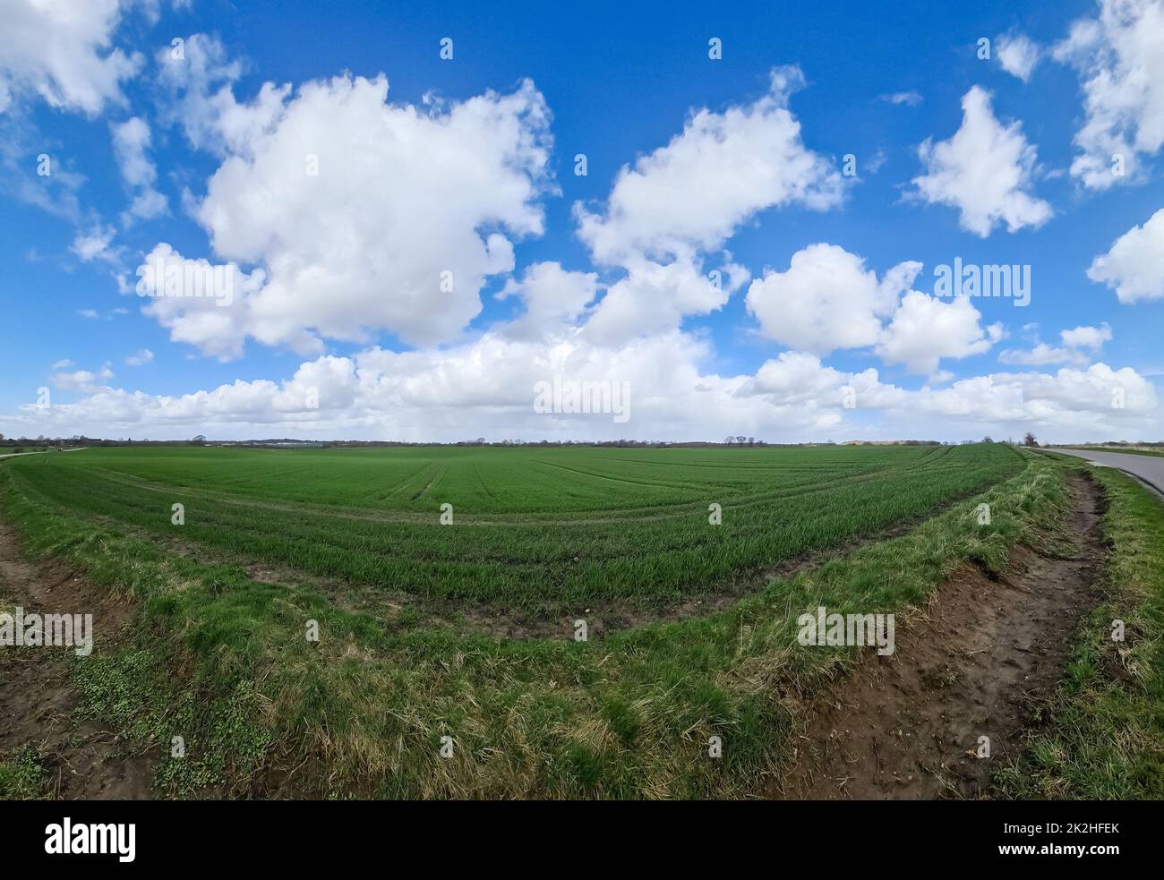 Panorama di un paesaggio di campagna del nord europa con campi e erba verde Foto Stock