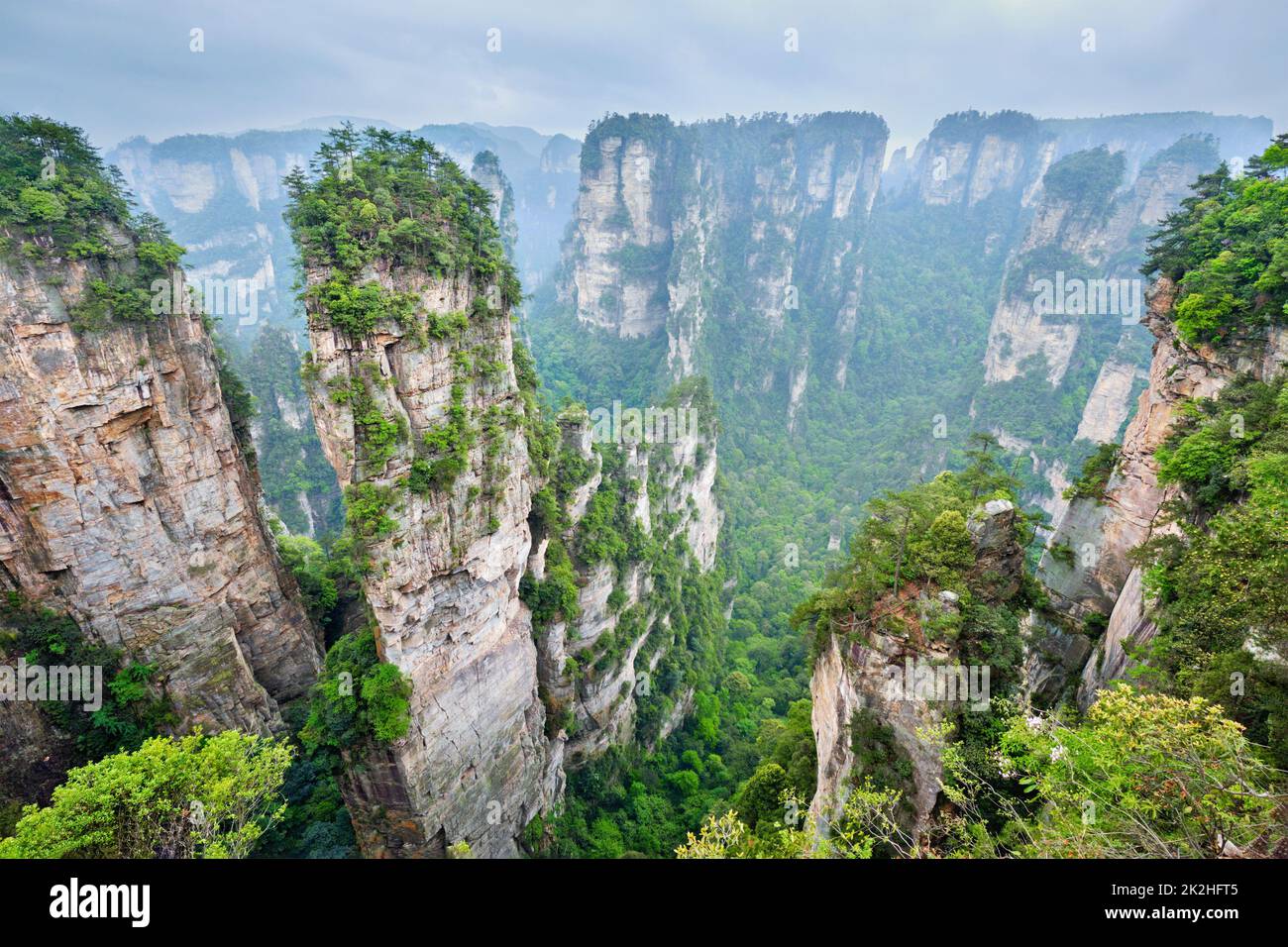 Montagne di Zhangjiajie, Cina Foto Stock