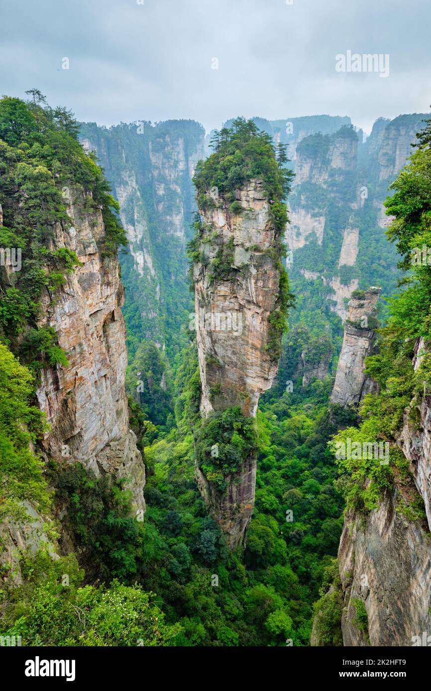 Montagne di Zhangjiajie, Cina Foto Stock