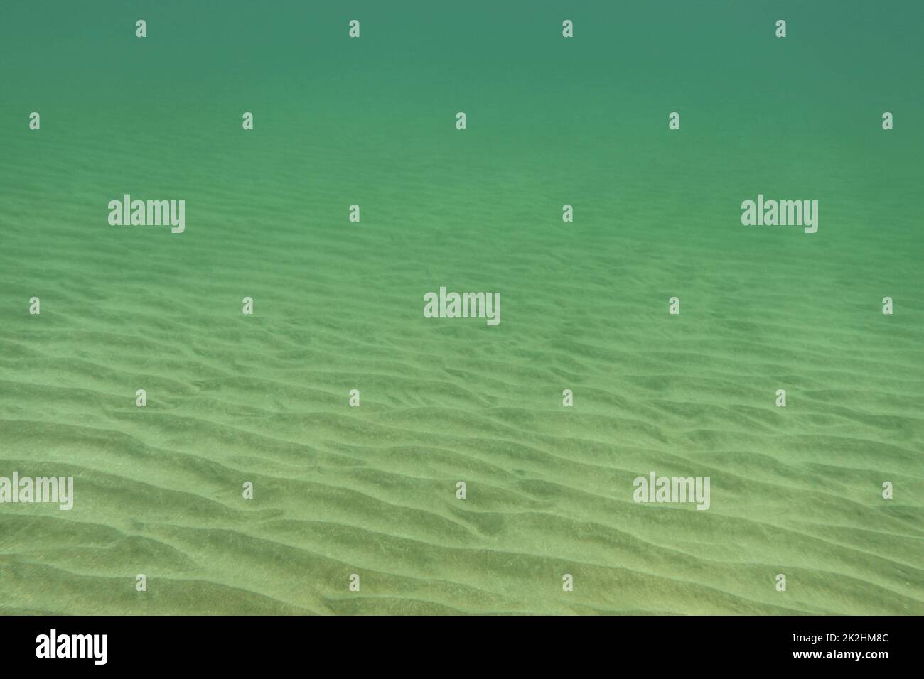 Fotografia subacquea - quasi piatto fondo del mare, solo piccole sabbia 'dunes' visibile. Abstract sfondo marino. Foto Stock