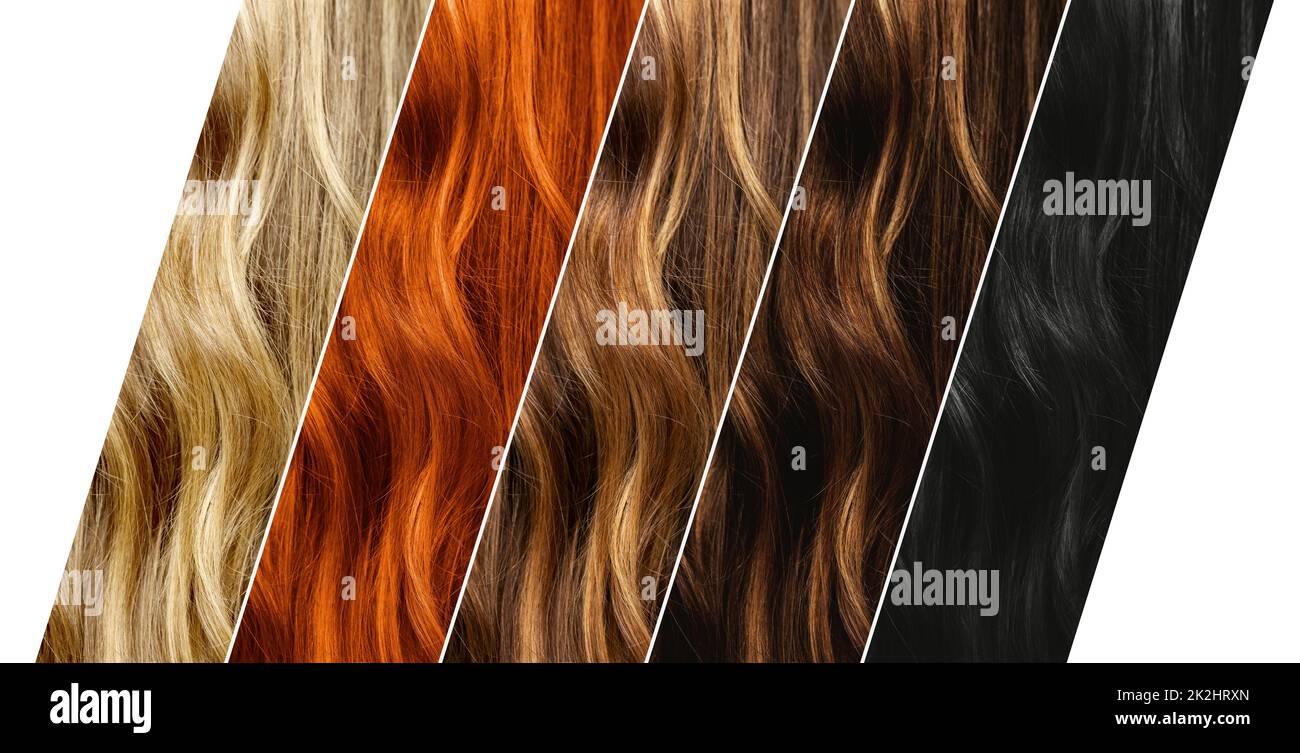 Set di diversi campioni di colore naturale dei capelli. Foto Stock