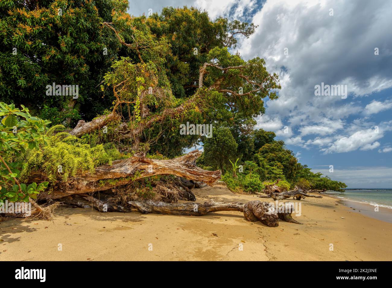 Bella vista della costa del Parco Nazionale Masoala in Madagascar Foto Stock