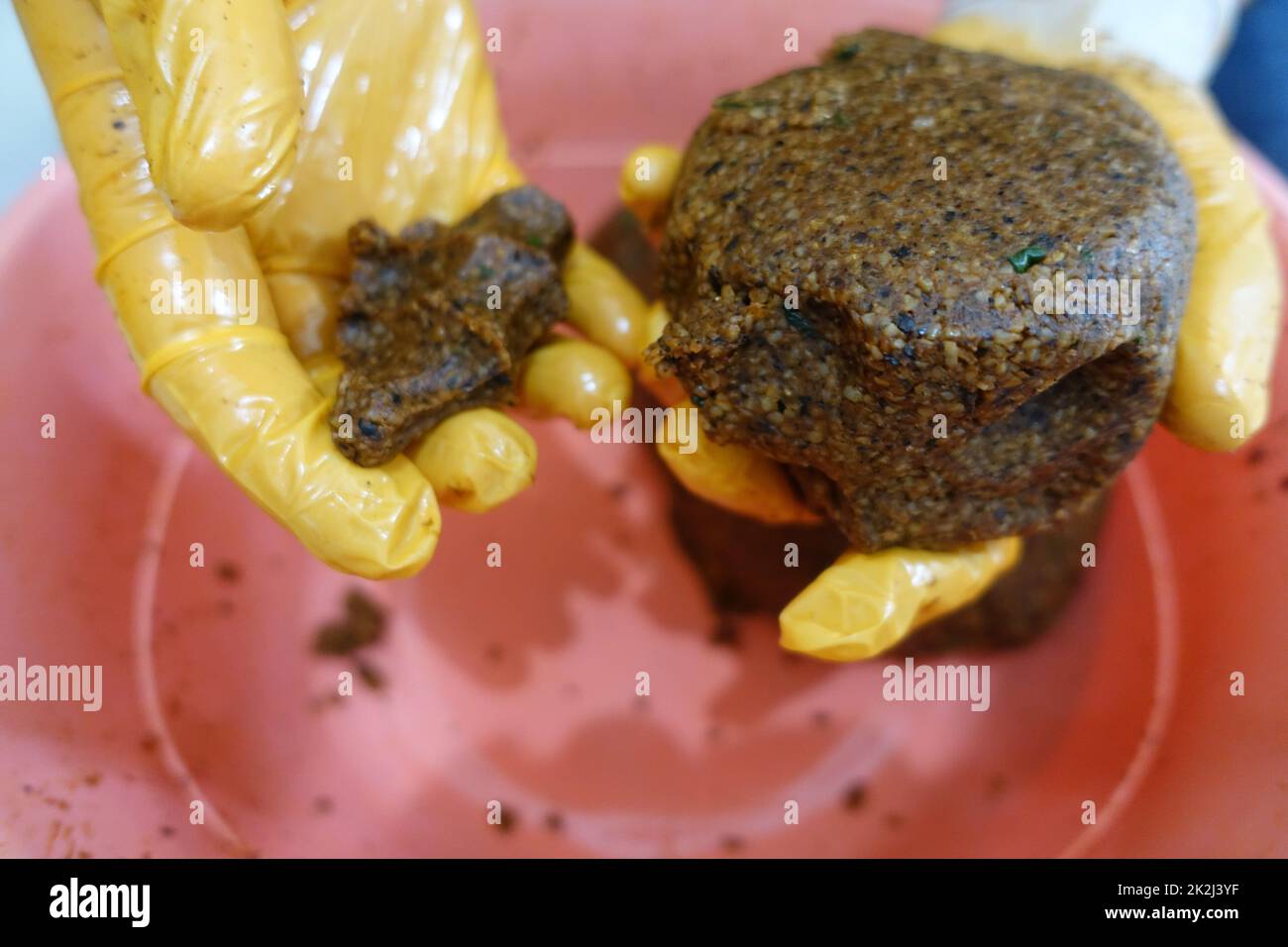 Persona schiacciare polpette crude con guanti in lattice, turco stile cig kÃ¶fte. Foto Stock