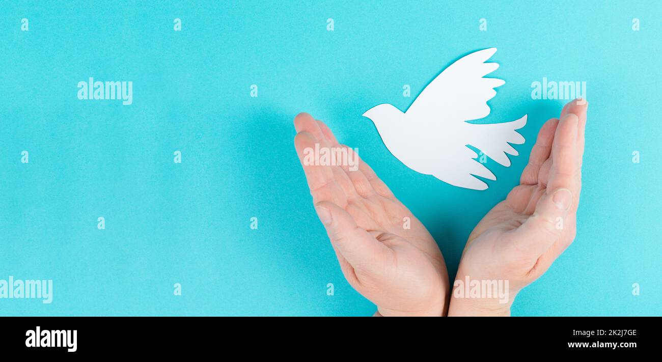Tenendo una colomba bianca nelle mani, simbolo di pace, carta tagliata piccione, spazio di copia per il testo, sfondo blu Foto Stock