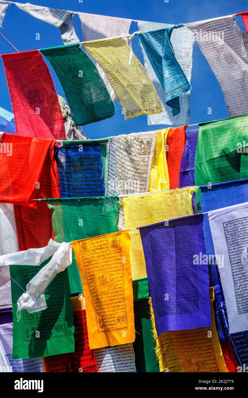 Bandiere buddiste di preghiera lunga a McLeod Ganj, Himachal Pradesh, India Foto Stock