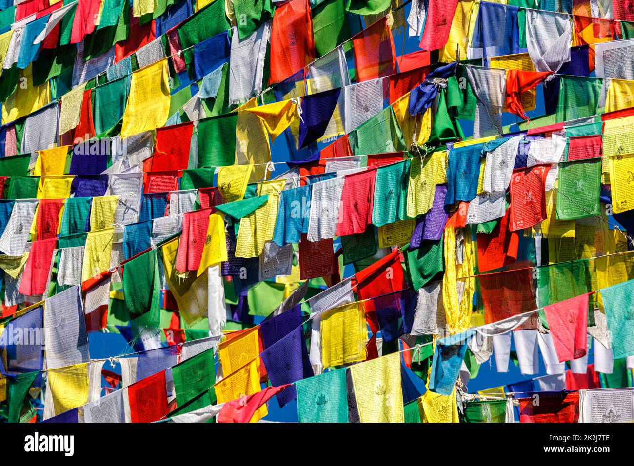 Bandiere buddiste di preghiera lunga a McLeod Ganj, Himachal Pradesh, India Foto Stock