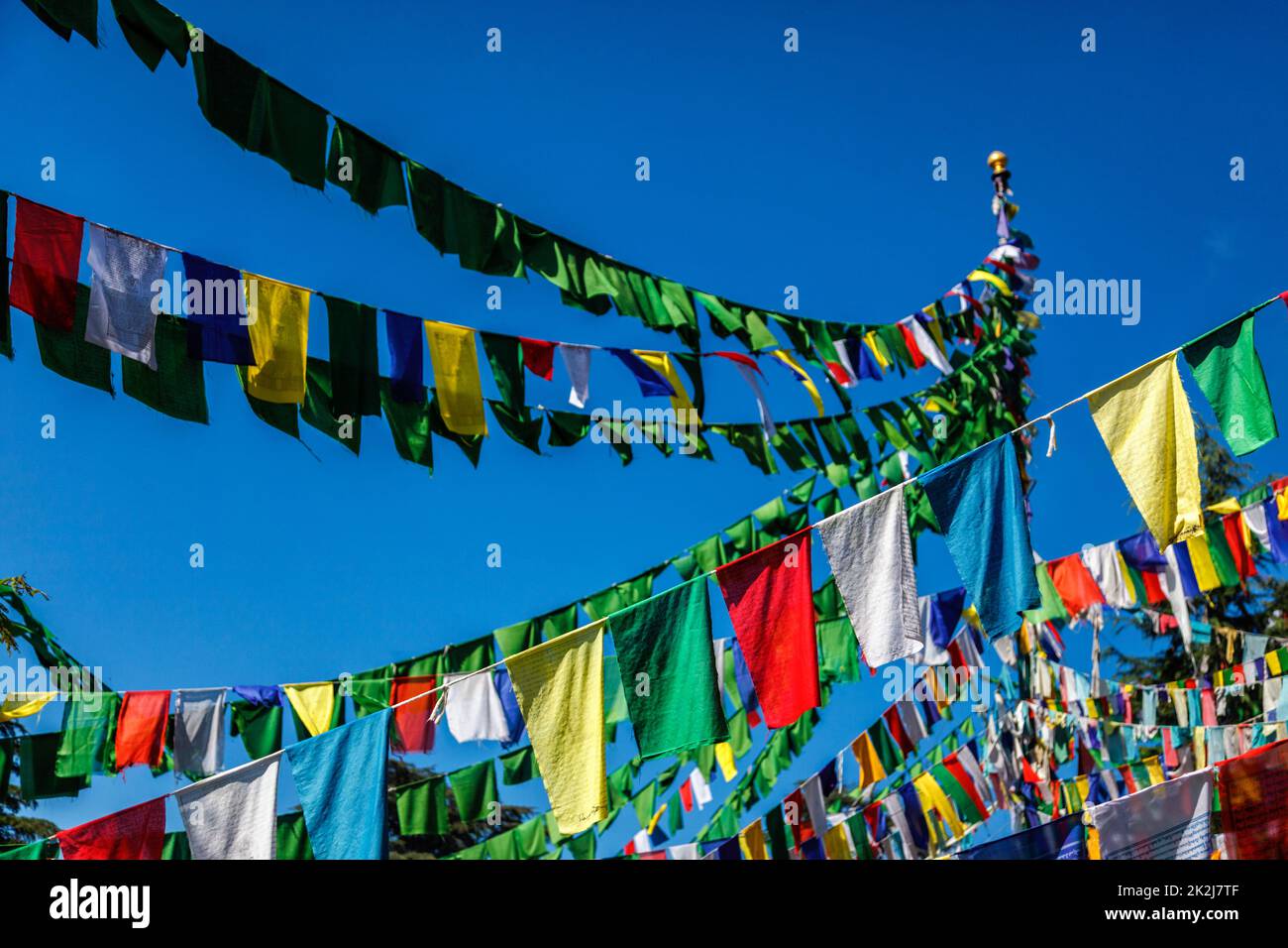 Bandiere buddiste di preghiera lunga a McLeod Ganj, Himachal Pradesh, India Foto Stock