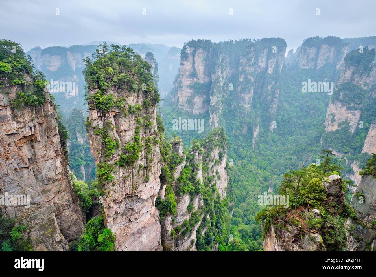 Montagne di Zhangjiajie, Cina Foto Stock