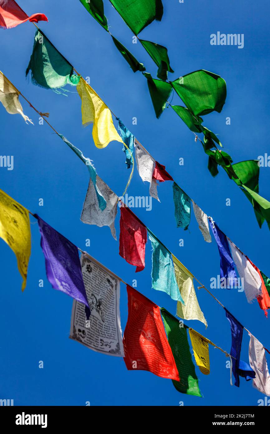 Bandiere buddiste di preghiera lunga a McLeod Ganj, Himachal Pradesh, India Foto Stock