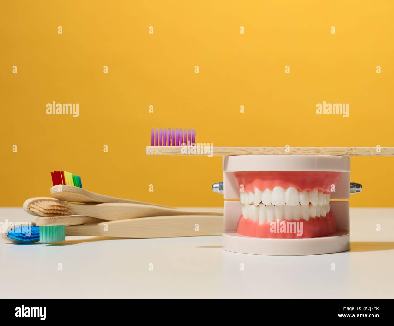 modello in plastica di mandibola umana con denti bianchi e spazzolino in legno su sfondo giallo, igiene orale Foto Stock