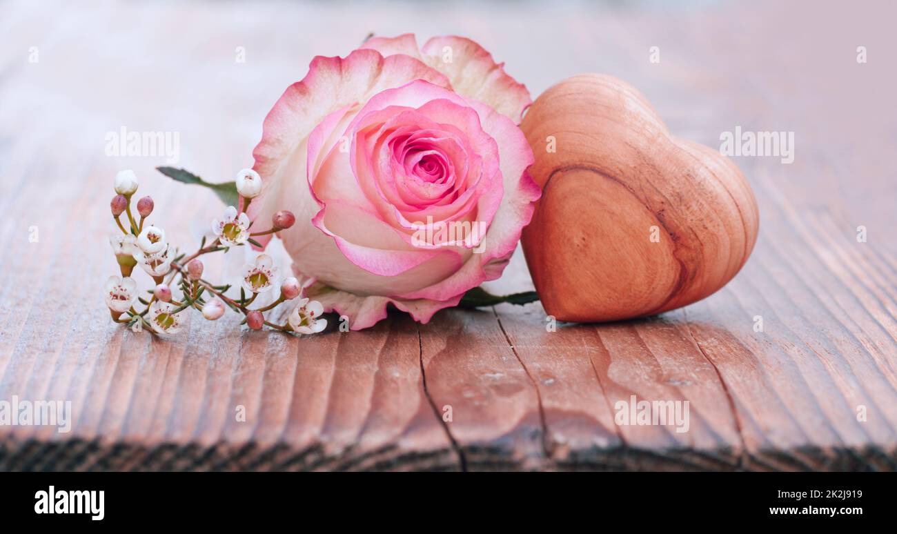 Tenero fiore di rosa con cuore di legno Foto Stock