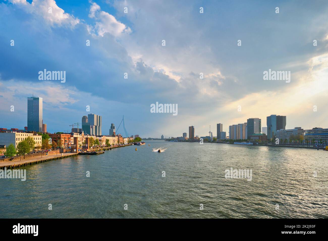 Vista sulla città di Rotterdam sul fiume Nieuwe Maas, Paesi Bassi Foto Stock