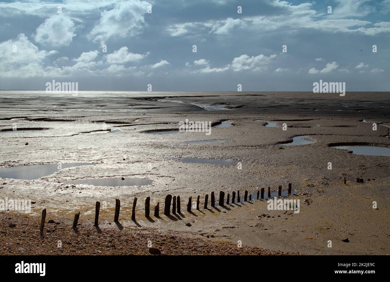 Mudflats e Sand a Snettisham Beach a Low Tide, Snettisham UK Foto Stock
