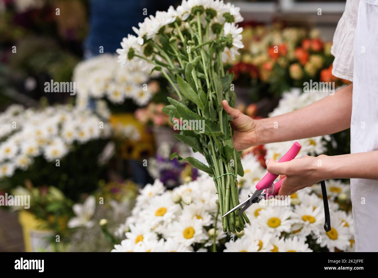 Fiorista donna che taglia il bordo inferiore dei fiori con i secateurs taglienti Foto Stock