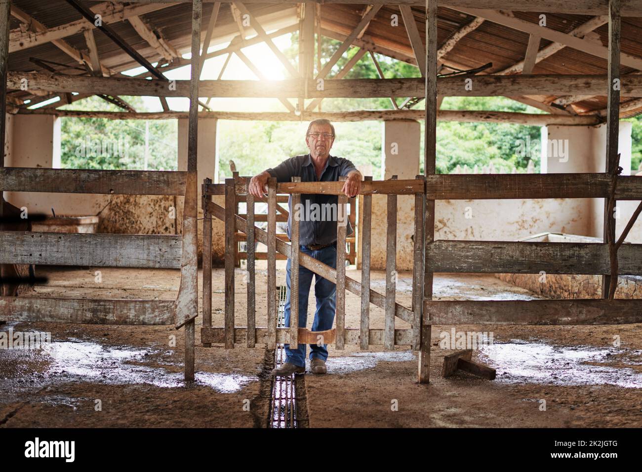 Questa fattoria è il mio orgoglio e gioia. Ritratto completo di un contadino maturo che si trova nel fienile della sua fattoria. Foto Stock