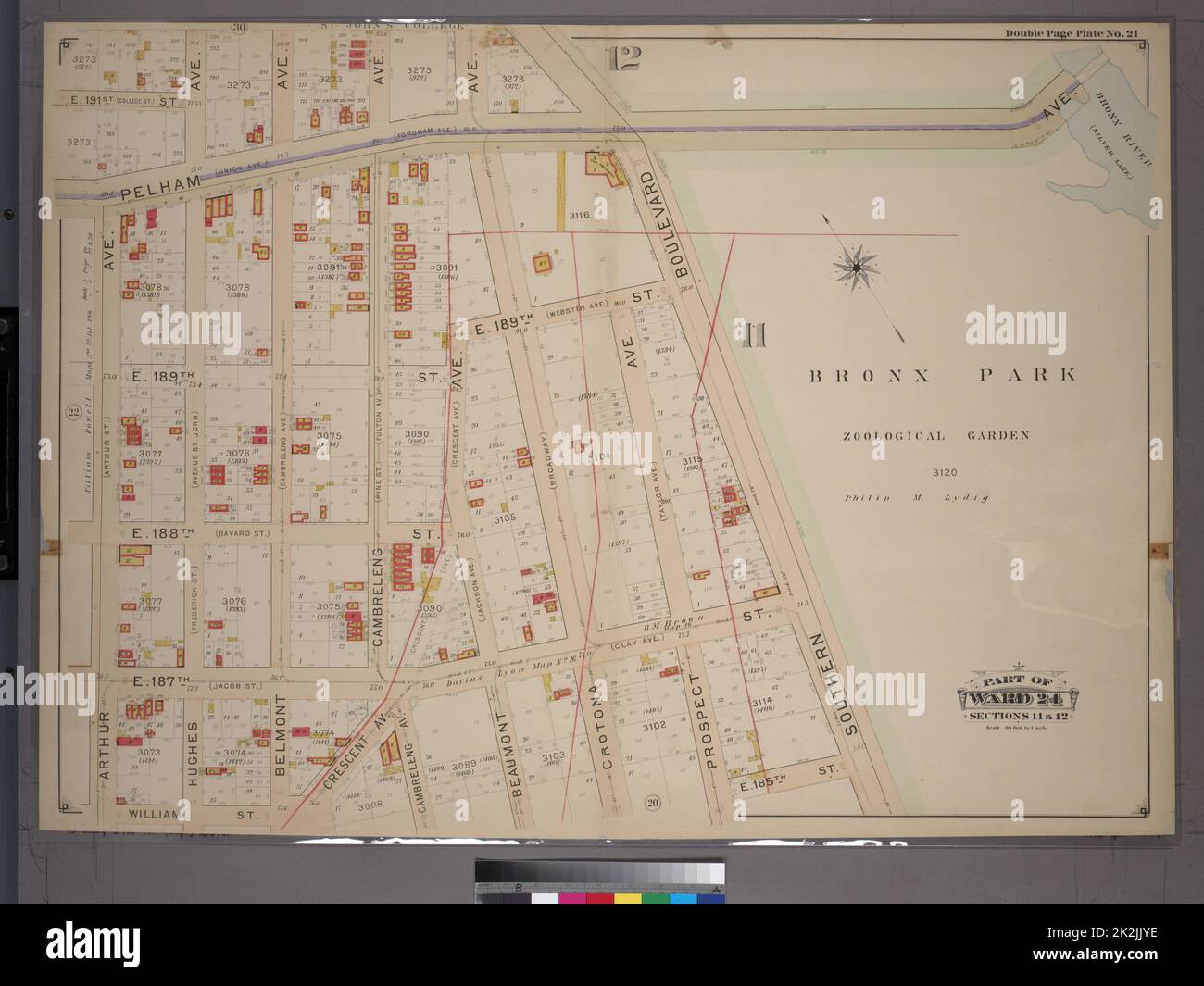 Cartografica, Mappe. 1901. Lionel Pincus e la Principessa Firyal Map Division. Bronx (New York, N.Y.), Real Property , New York (state) , New York Double Page Plate No. 21, Part of Ward 24, Section 11. Delimitata da Pelham Avenue (Bronx Park), Southern Boulevard, E. 185th Street, Cambreleng Avenue, Crescent Avenue, William Street e Arthur Avenue. Foto Stock