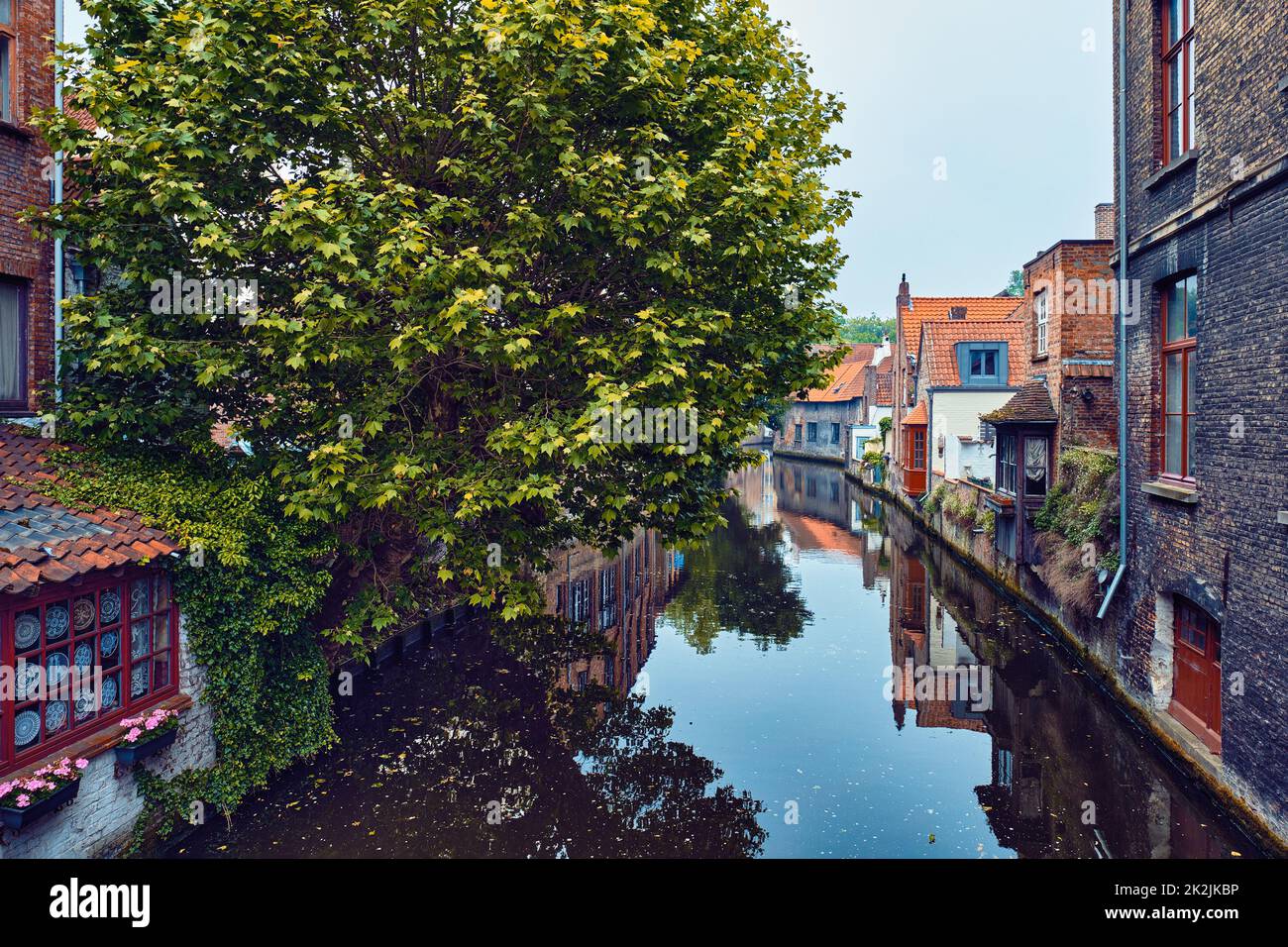 Imbarcazione turistica nel canale. Brugge Bruges, Belgio Foto Stock
