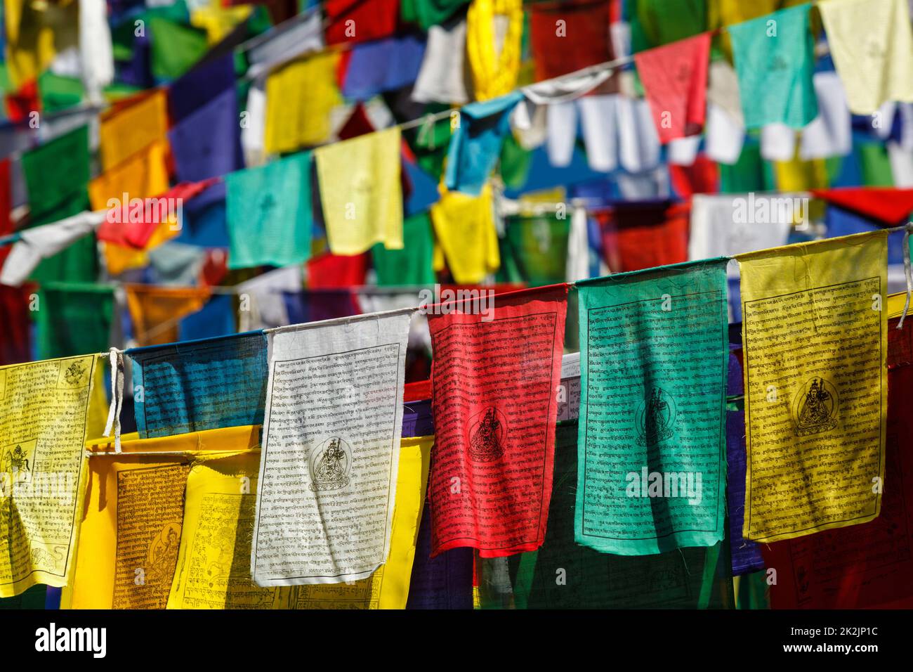 Bandiere buddiste di preghiera lunga a McLeod Ganj, Himachal Pradesh, India Foto Stock