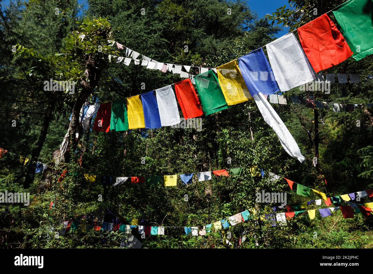 Bandiere buddiste di preghiera lunga a McLeod Ganj, Himachal Pradesh, India Foto Stock