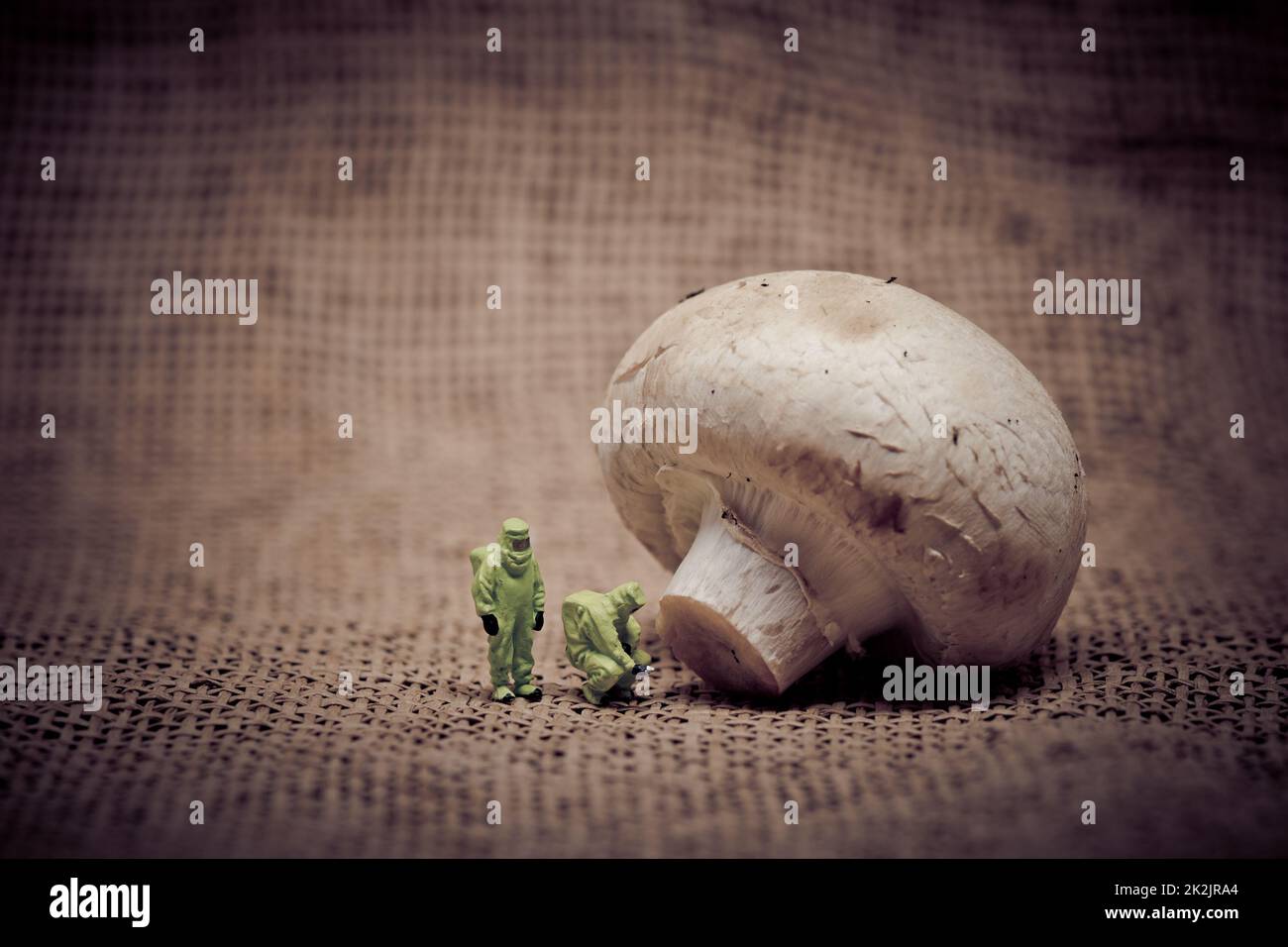 Un gruppo di persone in tuta protettiva ispezionando un fungo. Alimenti geneticamente modificati concetto. Immagine dai toni Foto Stock