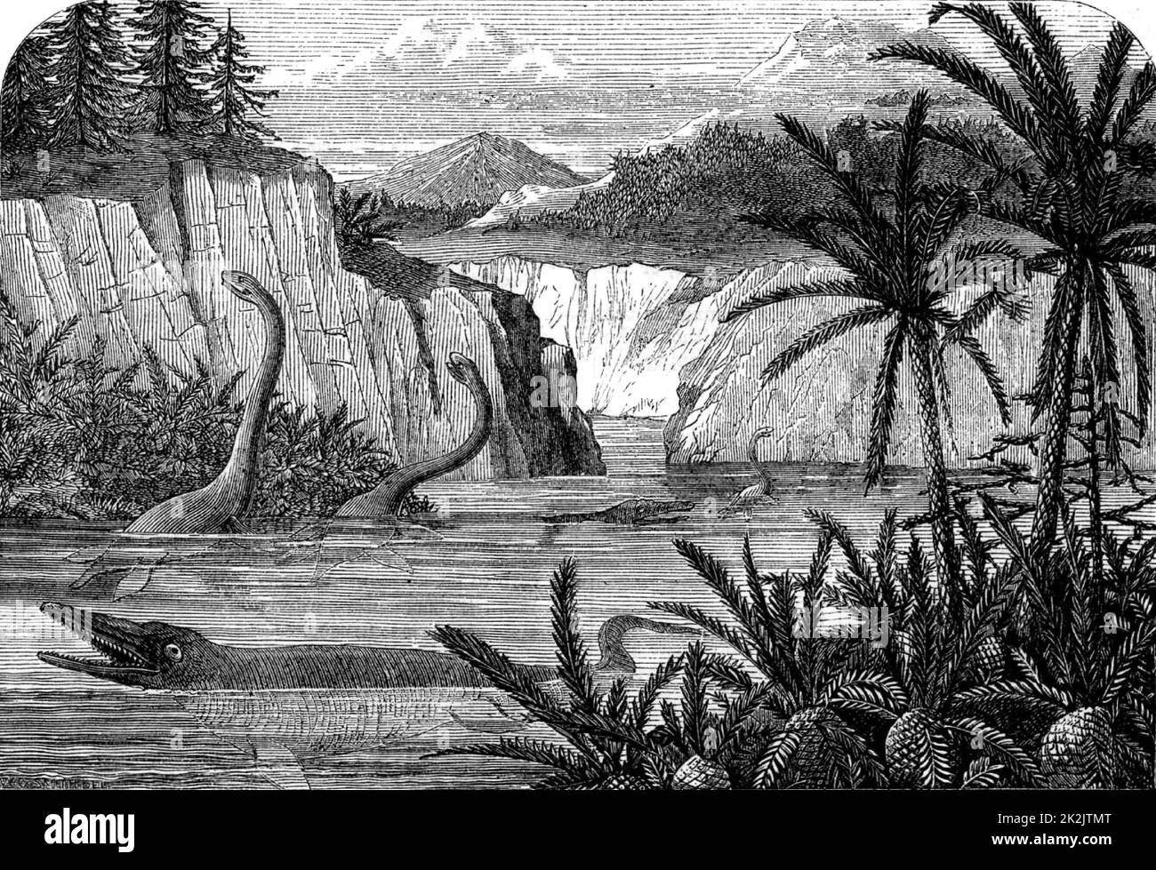 Flora e fauna ideali del periodo liassico, tra cui Ichthyosaurus e Plesiosaurus. Da 'The Popular Educator' (Londra, c1855). Incisione. Geologia. Paleontologia. Foto Stock