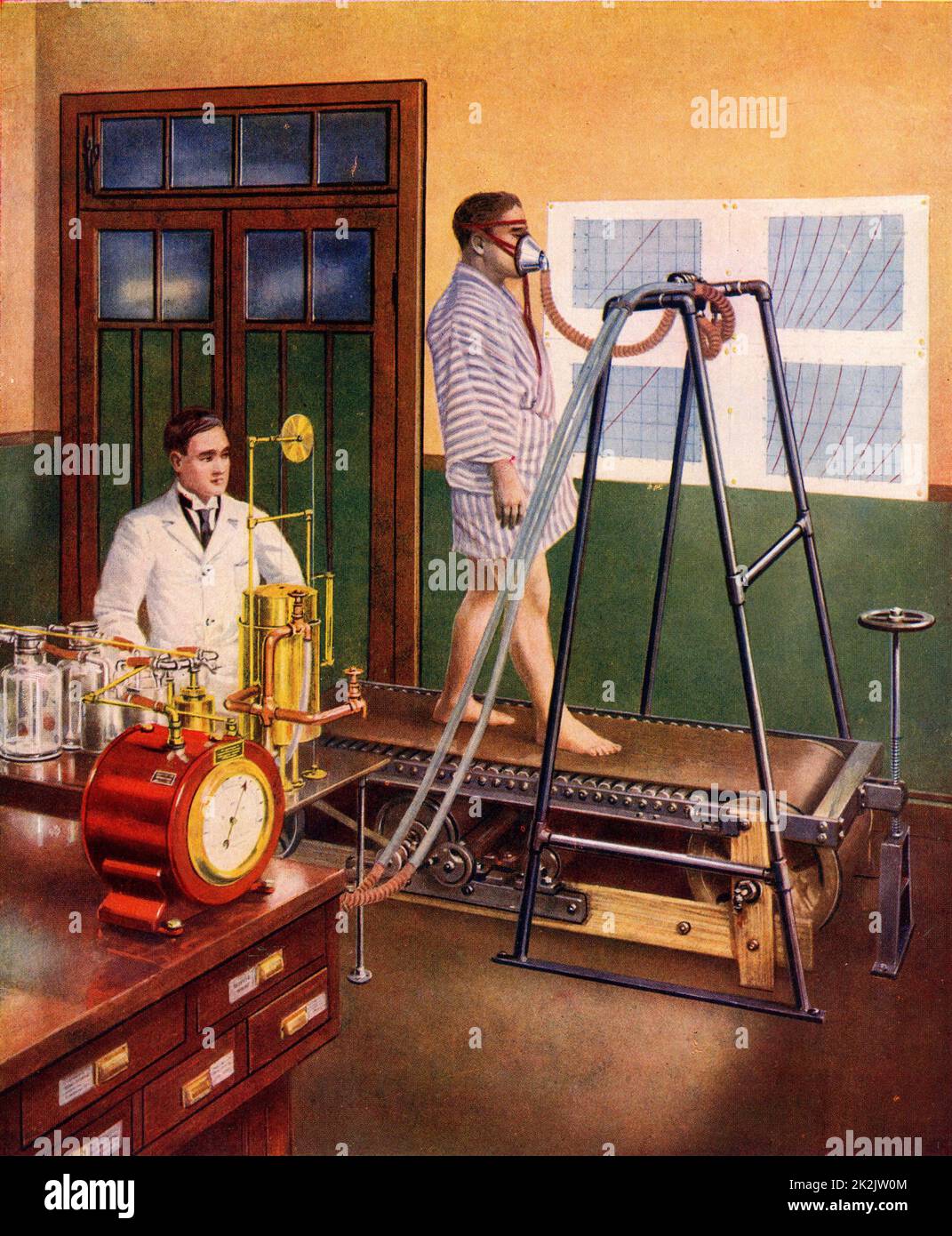 Indagine sulla respirazione durante l'esercizio fisico. Il soggetto respira nella maschera e le esalazioni vengono misurate in misuratore di gas, quindi alimentate all'apparecchiatura per l'analisi. Da "The Science of Life" (Londra, 1929-1930). Mezzitoni. Foto Stock