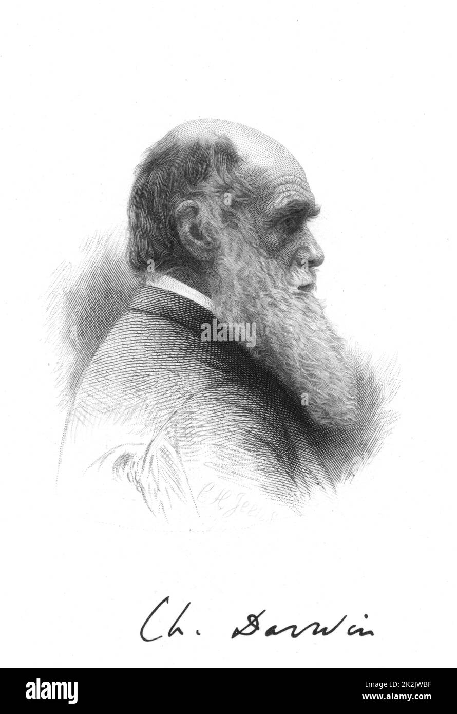 Charles Darwin (1809-1882) naturalista inglese. Un pioniere della teoria dell'evoluzione per selezione naturale. Incisione e firma Foto Stock