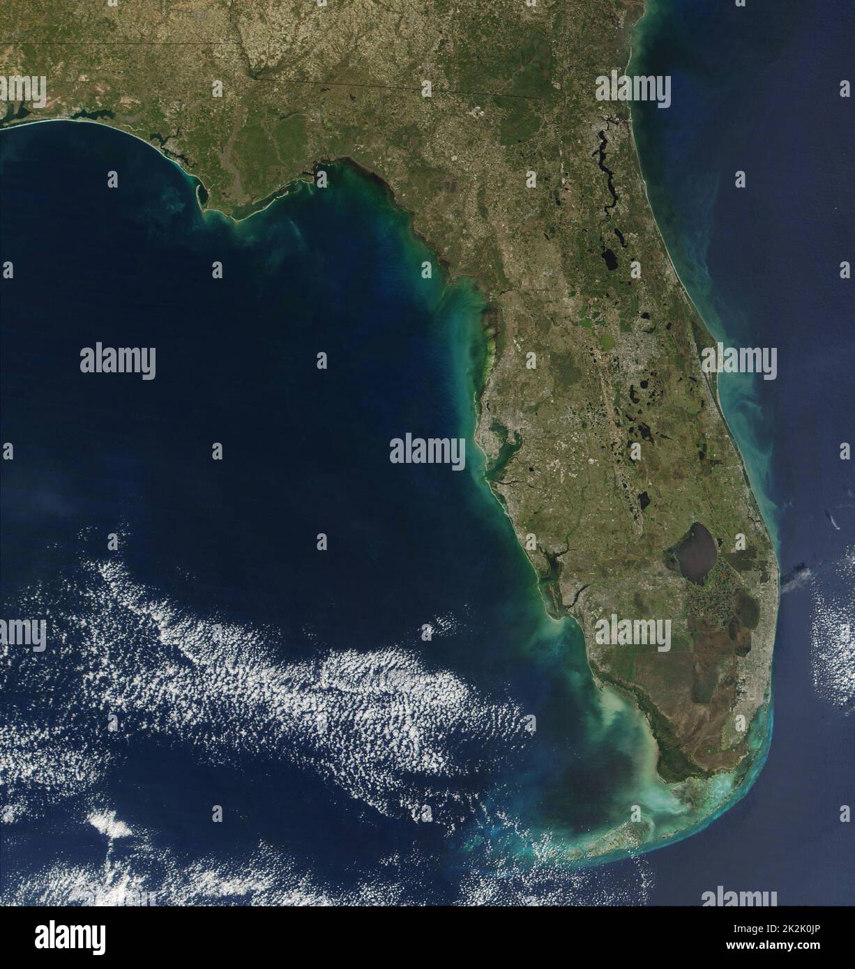 Sedimenti di fioritura algale la linea di costa della Florida del sud degli Stati Uniti d'America, dando la penisola un telaio di colore verdastro. Una fioritura algale è un rapido aumento o di accumulo in una popolazione di alghe in un sistema idrico. Foto Stock