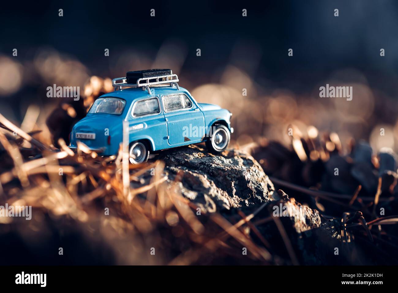 Vista posteriore di un'auto in miniatura con portapacchi in una foresta Foto Stock