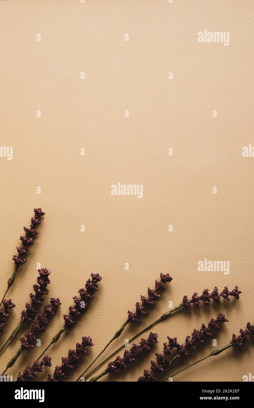 Sfondo beige naturale con fiore secco. Vista superiore, spazio di copia per il testo. Foto Stock