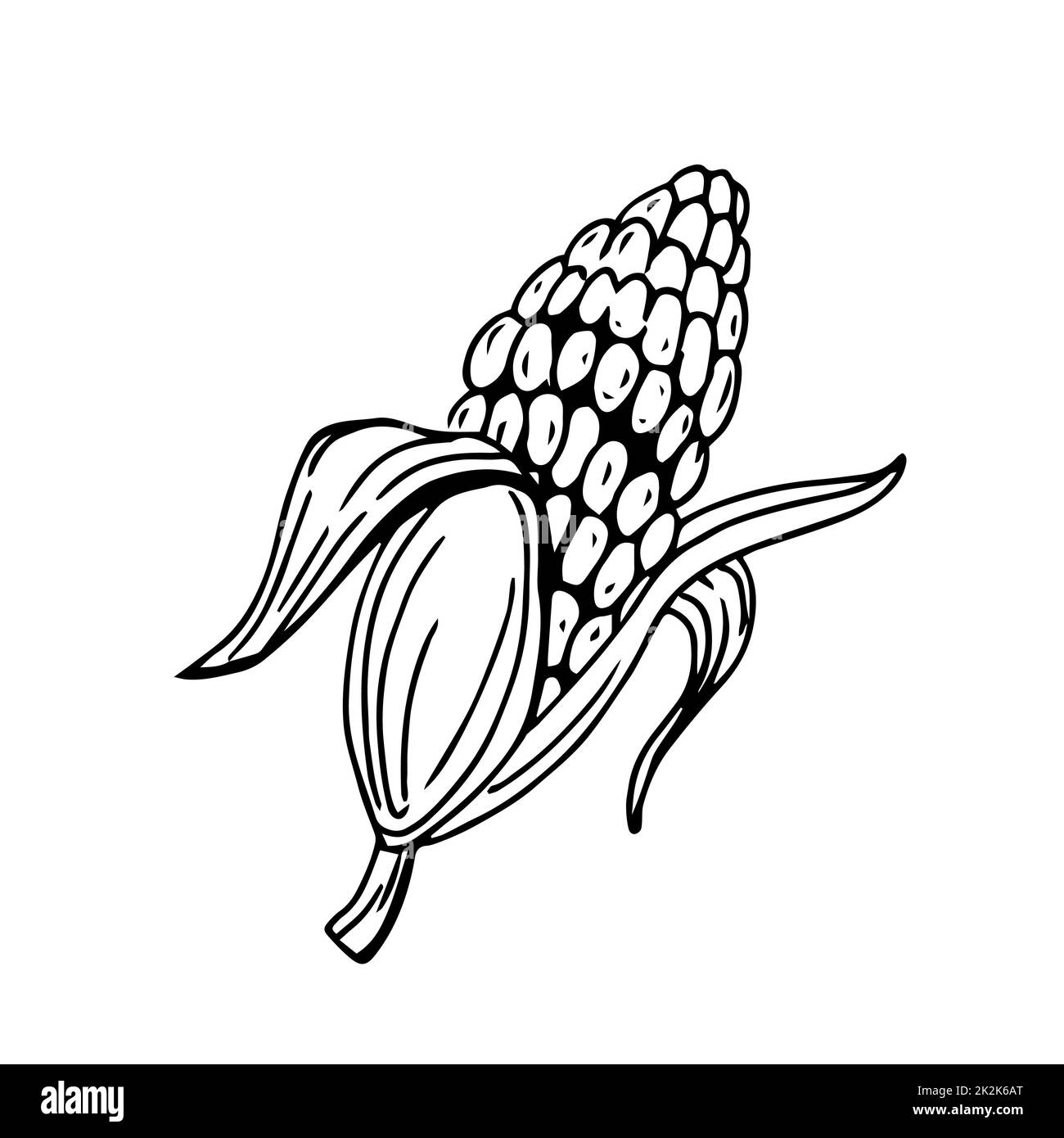 COB corn sottili linee nere su sfondo bianco - Vector Foto Stock