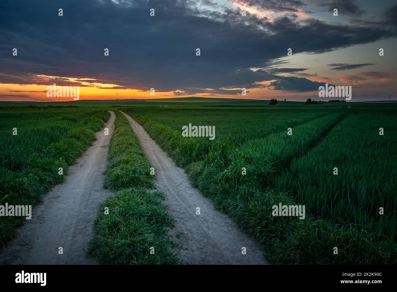 Strada sterrata attraverso campi verdi e tramonto Foto Stock
