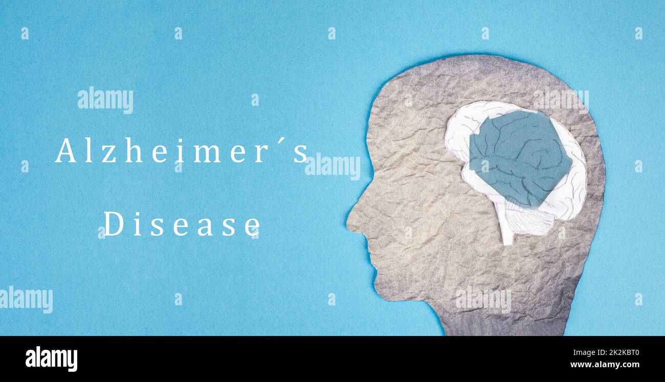 La malattia di Alzheimer è in piedi su un foglio, la silhouette di una testa con un cervello danneggiato, la diagnosi di demenza, il giorno di consapevolezza di ParkinsonÂ Sprache fÃ¼r StichwÃ¶rter: Inglese Foto Stock