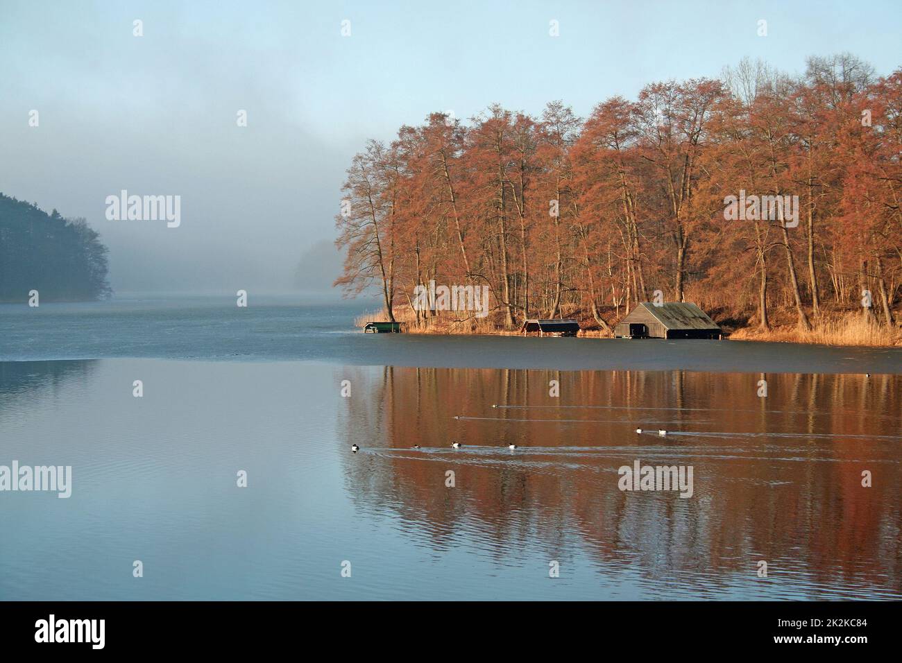 Morgenstimmung in der Feldberger Seenplatte Foto Stock