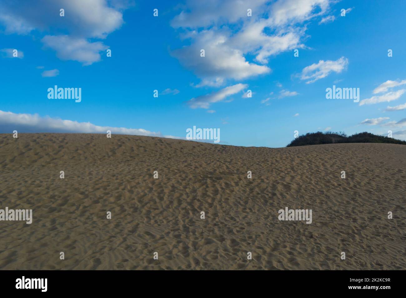 Scultura del vento - dune di sabbia, Maspalomas, Cran Canaria Foto Stock
