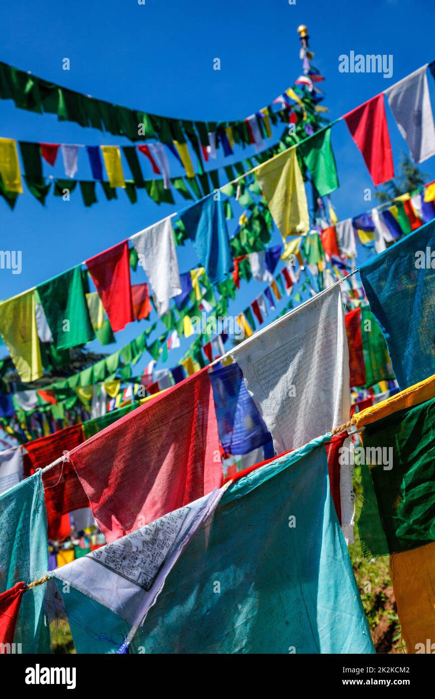 Bandiere buddiste di preghiera lunga a McLeod Ganj, Himachal Pradesh, India Foto Stock