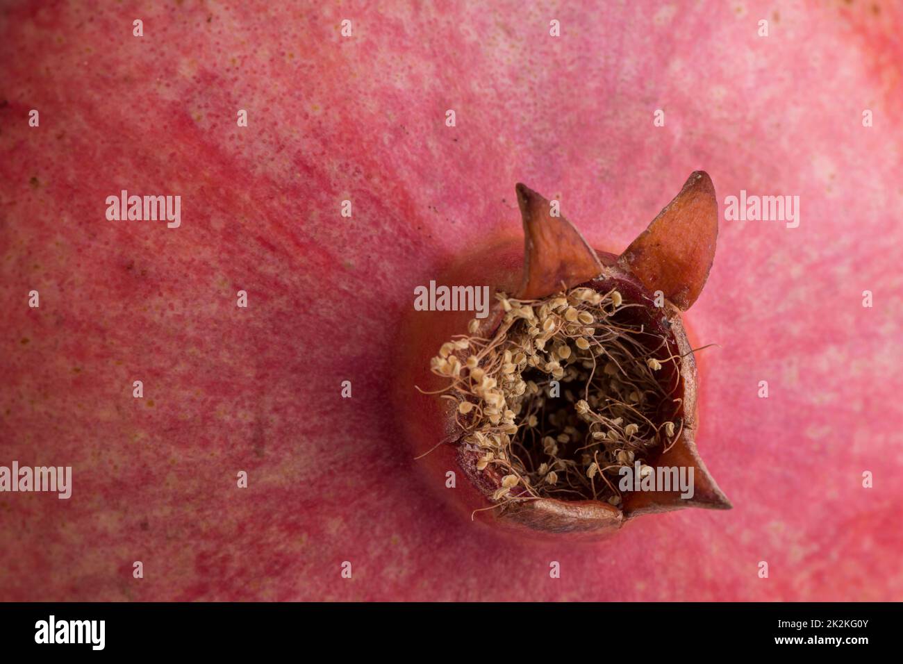 Ripen melograno ravvicinato tessuto della pelle Foto Stock