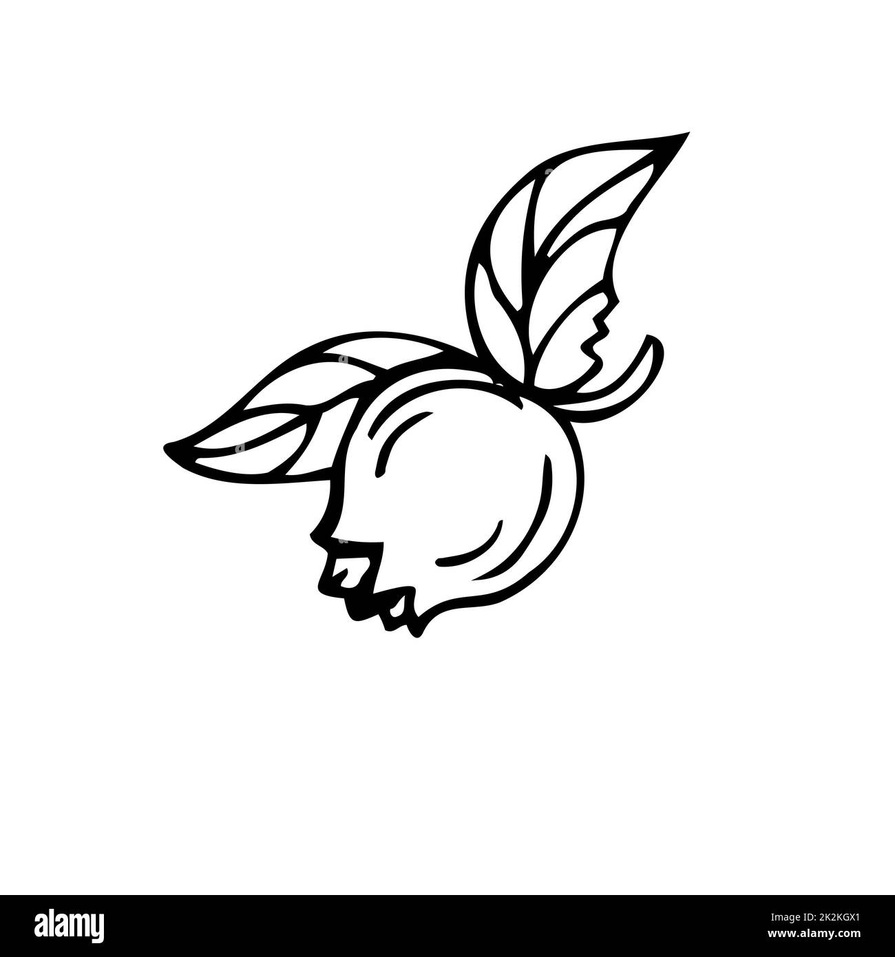 Nocciola sottile linee nere su sfondo bianco - Vector Foto Stock